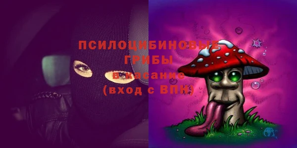 гашик Бугульма